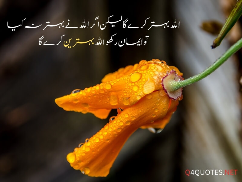 150+ Best Islamic Quotes In Urdu With Beautiful Images 