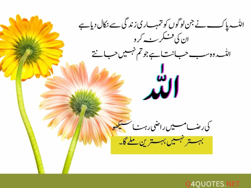 Best Islamic Quotes About Allah In Urdu 
