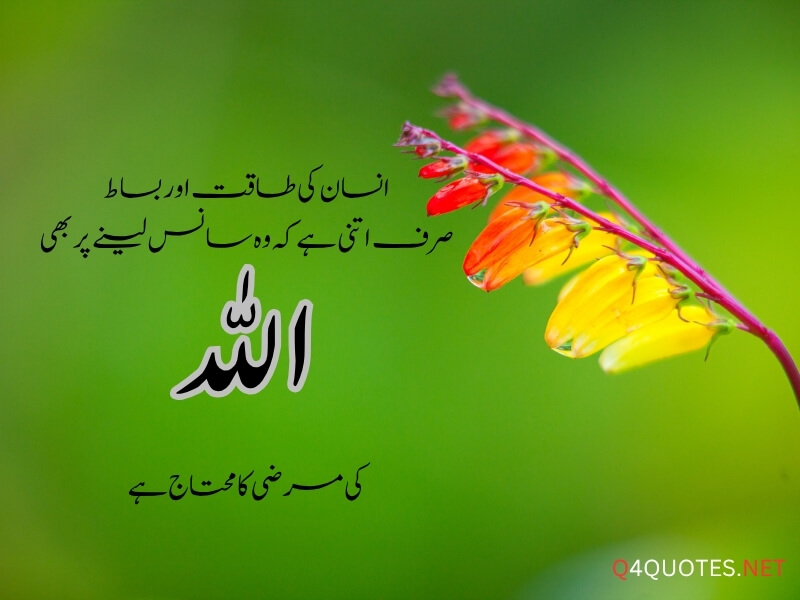 Best Islamic Quotes About Allah In Urdu 