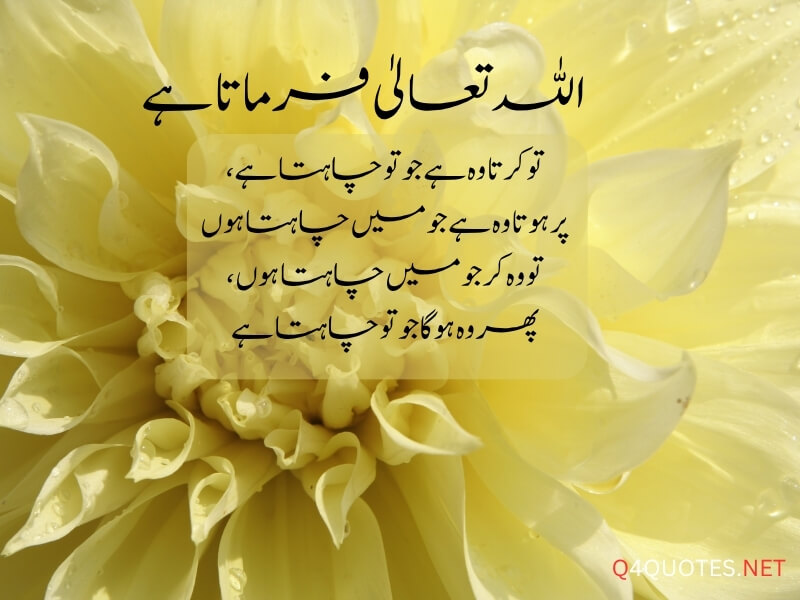 150+ Best Islamic Quotes In Urdu With Beautiful Images 