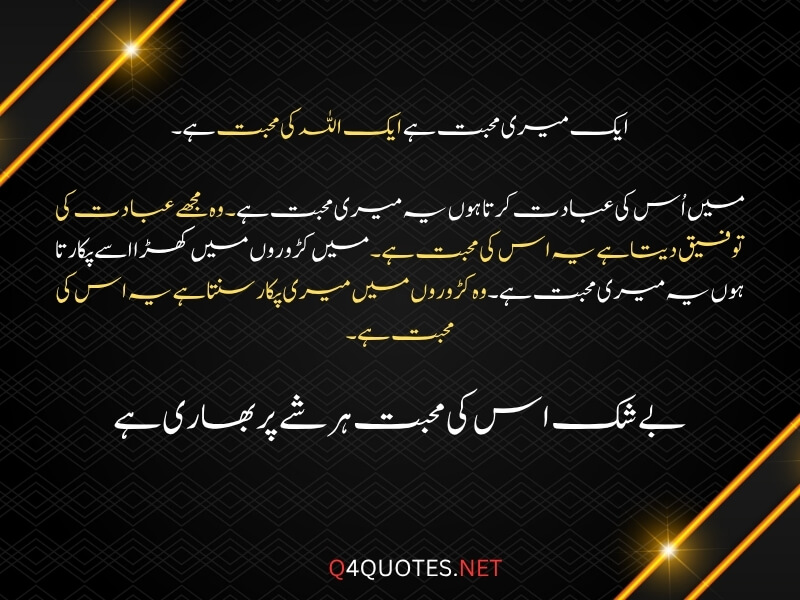 Best Islamic Quotes About Allah In Urdu 