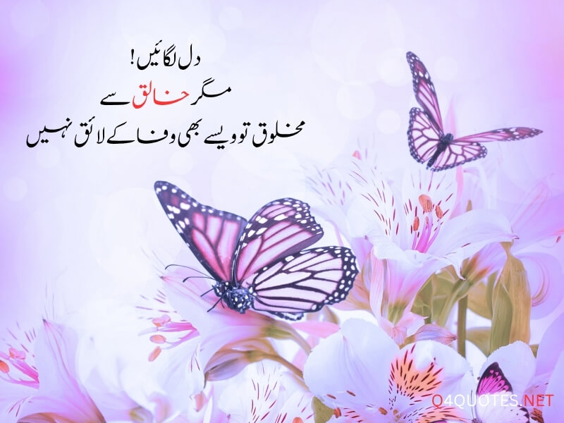best Islamic quotes in urdu