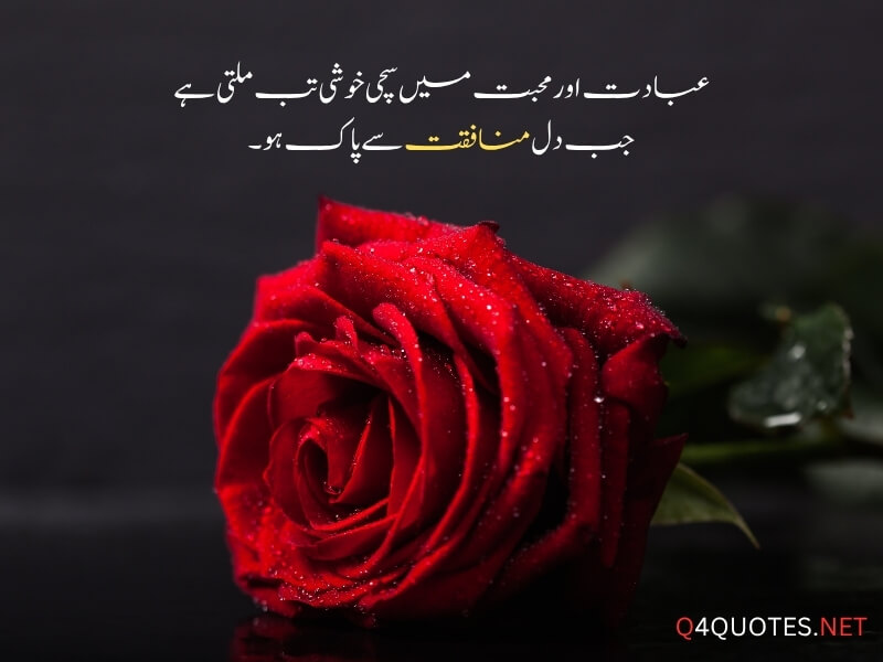 Best Islamic Quotes In Urdu 