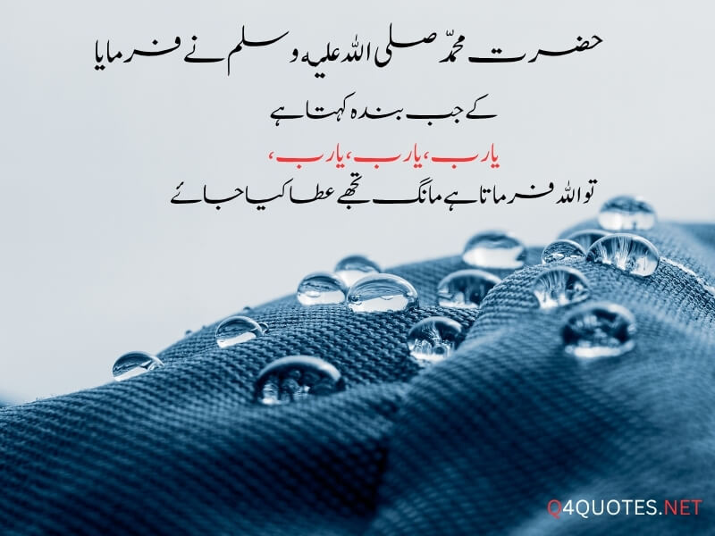 150+ Best Islamic Quotes In Urdu With Beautiful Images 
