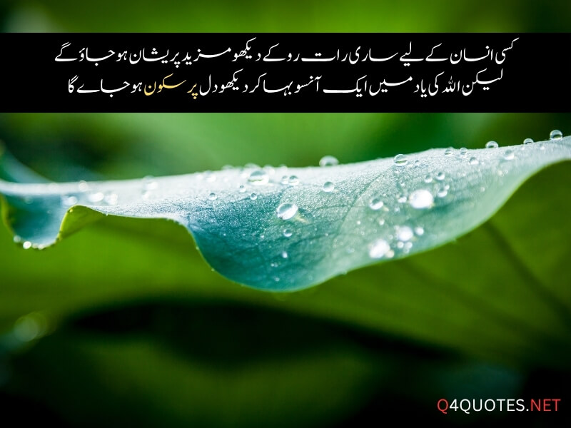 Best Islamic Quotes In Urdu