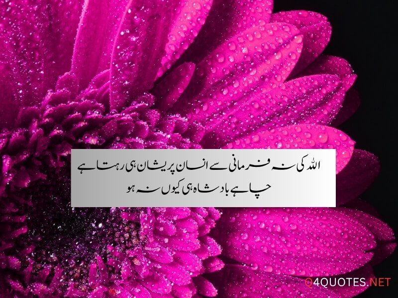 Best Islamic Quotes About Allah In Urdu
