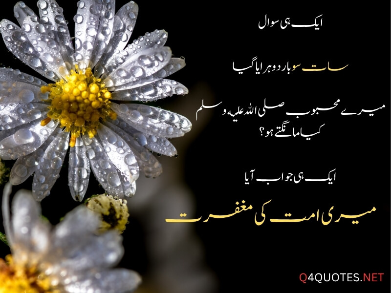 150+ Best Islamic Quotes In Urdu With Beautiful Images 