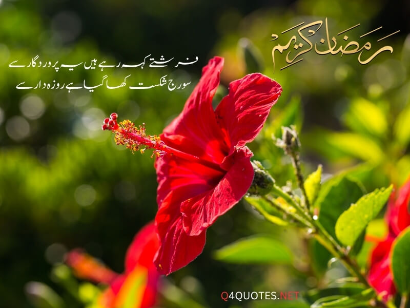 Ramadan Quotes in Urdu