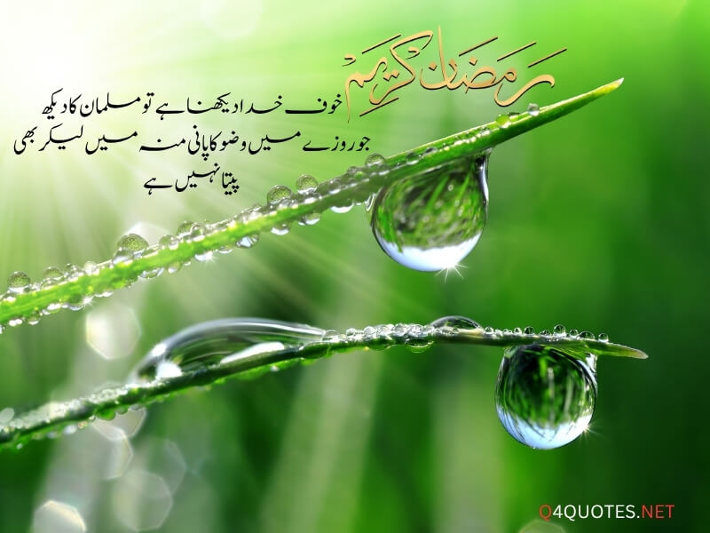 Ramadan Quotes in Urdu 