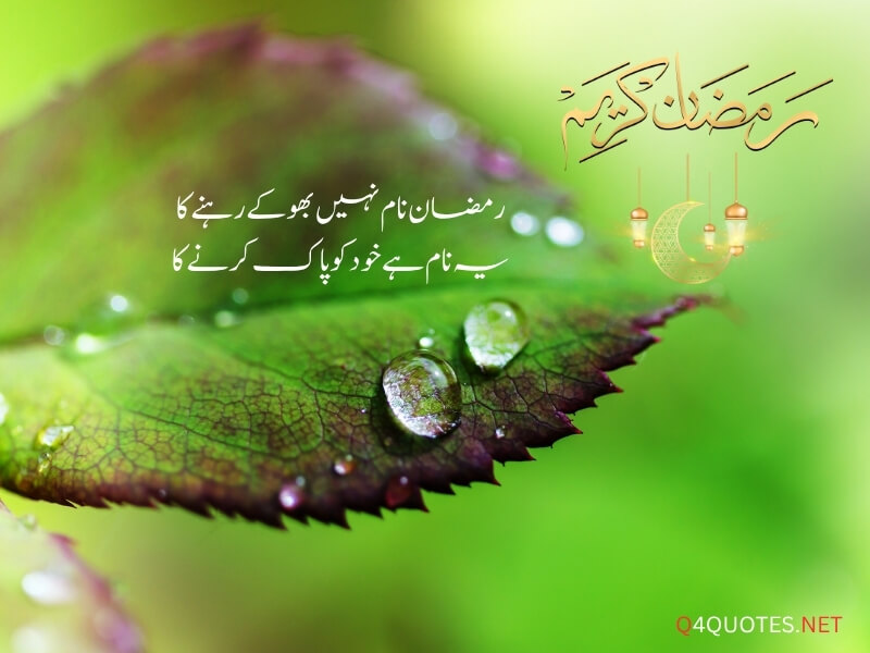 Ramadan Quotes in Urdu 