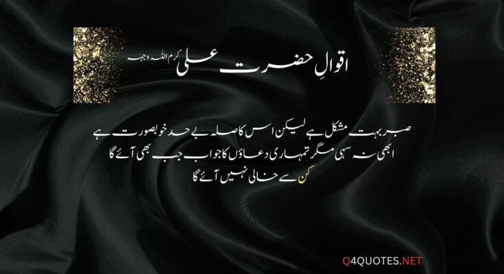 Best Hazrat Ali Quotes In Urdu