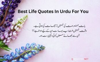 Best Life Quotes In Urdu For You