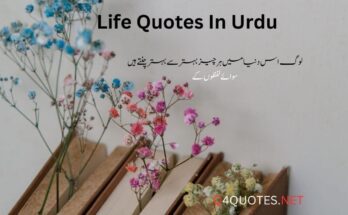 Life Quotes In Urdu