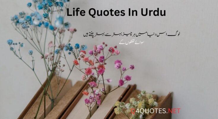 Life Quotes In Urdu