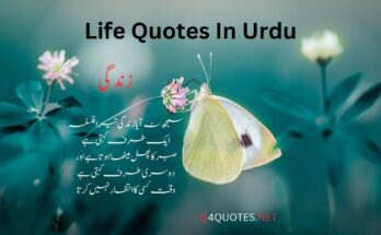 Life Quotes In Urdu