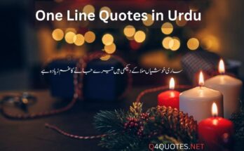 One Line Quotes in Urdu