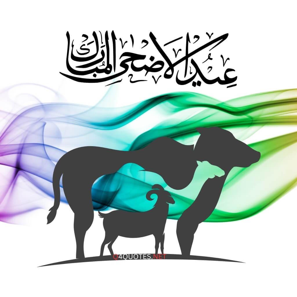 Eid ul Adha quotes 2026