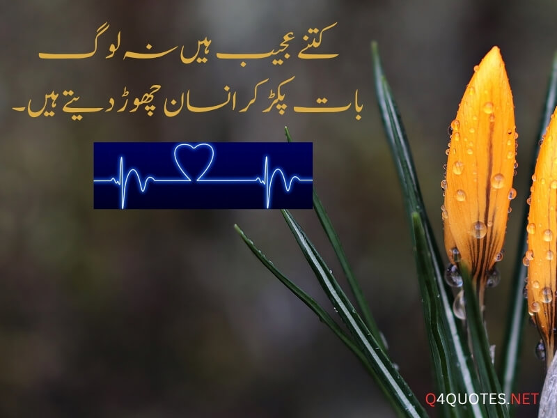 Urdu Viral Quotes