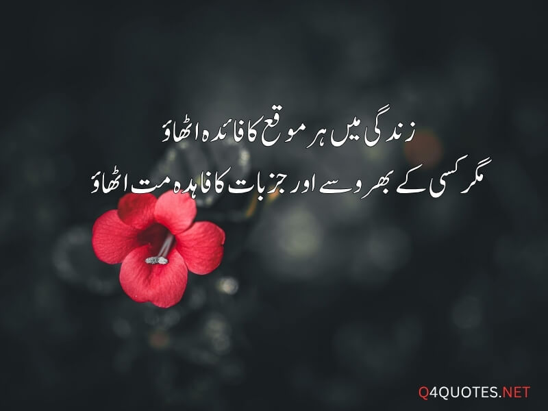 Urdu Viral Quotes