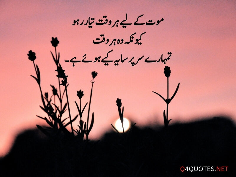 Urdu Viral Quotes