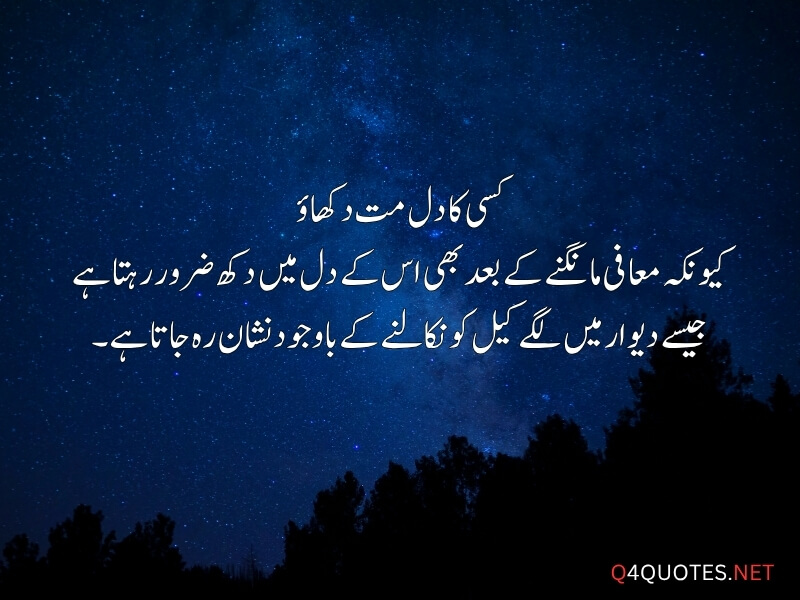 Urdu Viral Quotes
