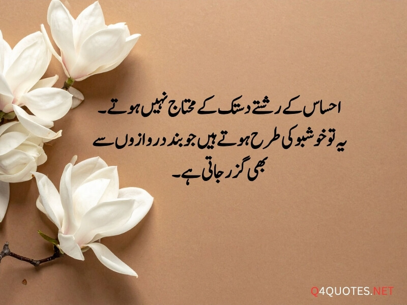 Urdu Viral Quotes