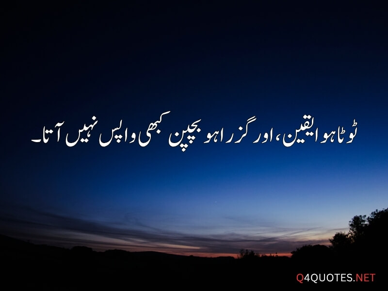 Urdu Viral Quotes