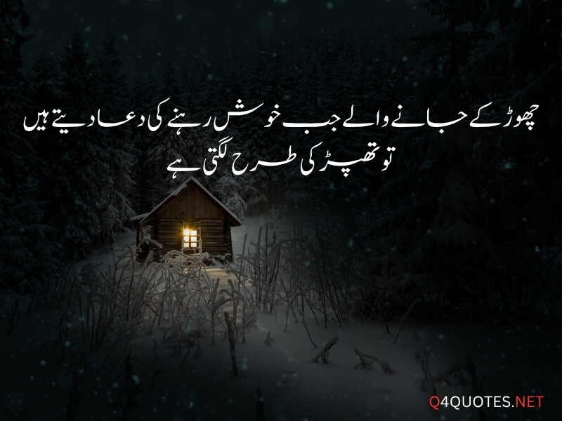 Urdu Viral Quotes
