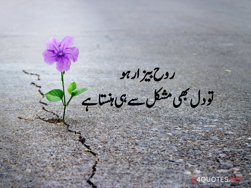 Urdu Viral Quotes