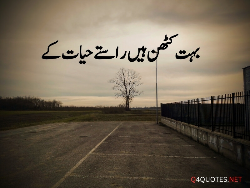 Urdu Viral Quotes
