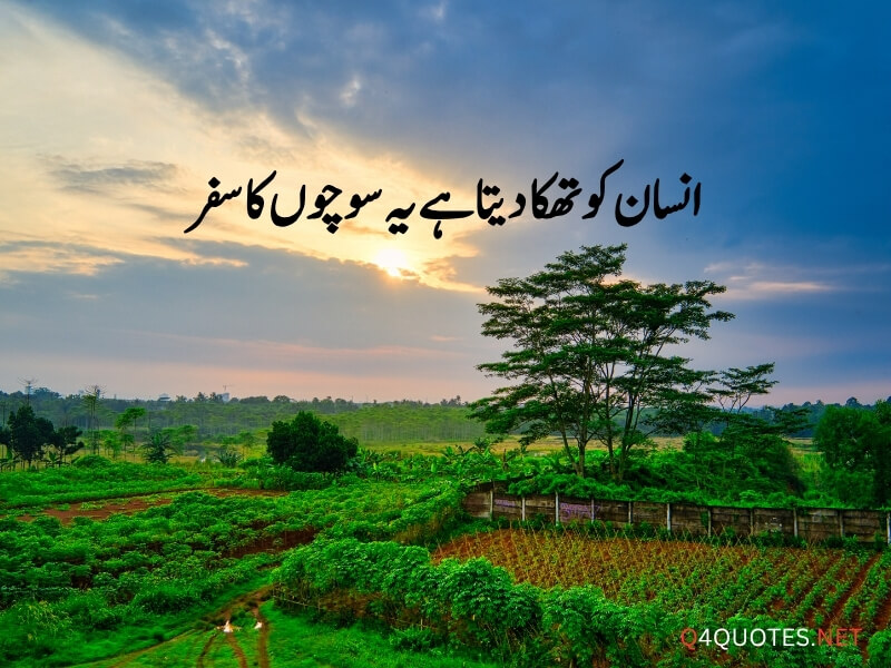 Urdu Viral Quotes