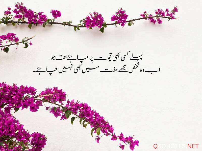Best Attitude Urdu Poetry