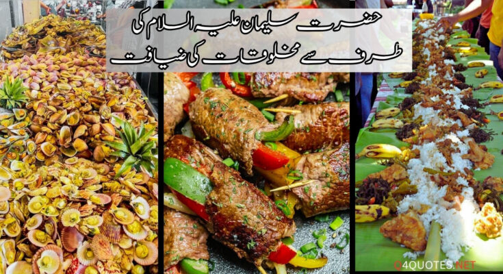 Islamic Stories حضرت سلیمان علیہ السلام کی طرف سے مخلوقات کی ضیافت