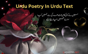 Unforgettable Attitude Deep Urdu Poetry