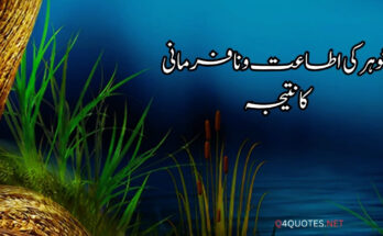 Islamic Stories شوہر کی اطاعت و نافرمانی کا نتیجہ