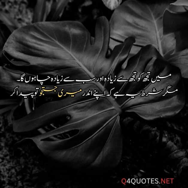Allama Iqbal Poetry