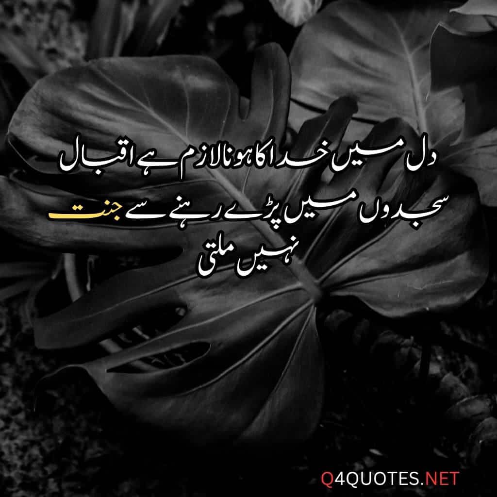 Allama Iqbal Poetry