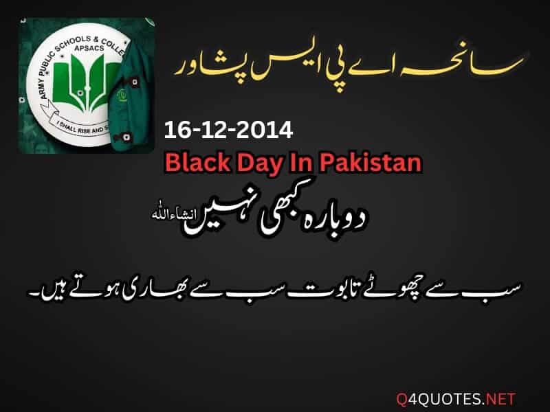 سانحہ اے پی ایس پشاور