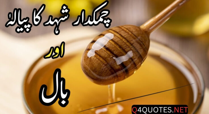Shehad Aur Ba Barkat Mehfil