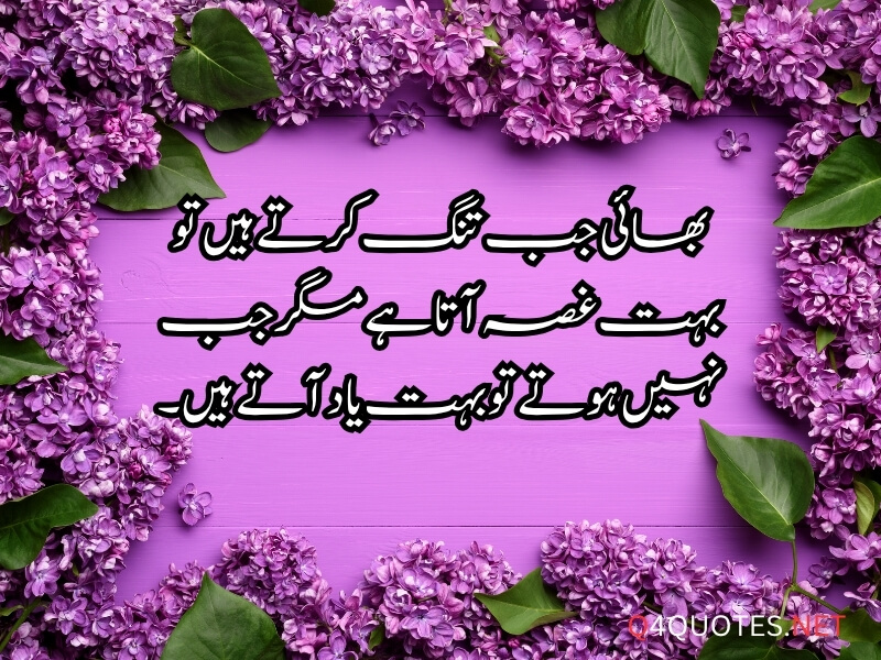 Brother Quotes For Instagram