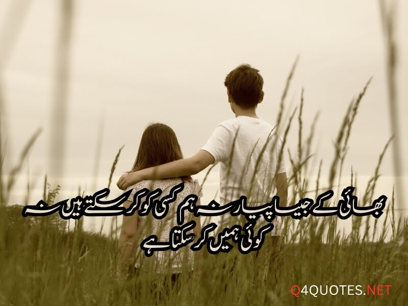 Brother Quotes In Urdu
