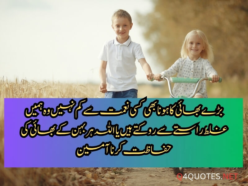 Elder Brother Quotes In Urdu