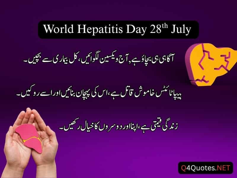 World Hepatitis Day In Urdu