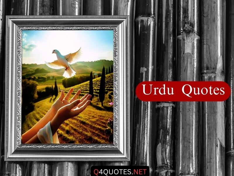 Urdu Quotes