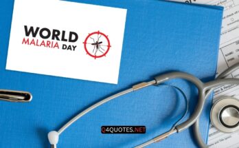International Malaria Day Guide